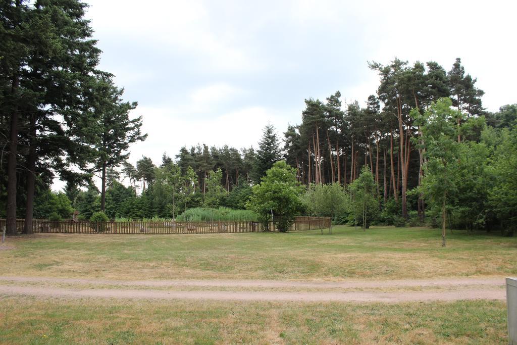 Auberge De La Marguetiere Andelaroche Zewnętrze zdjęcie