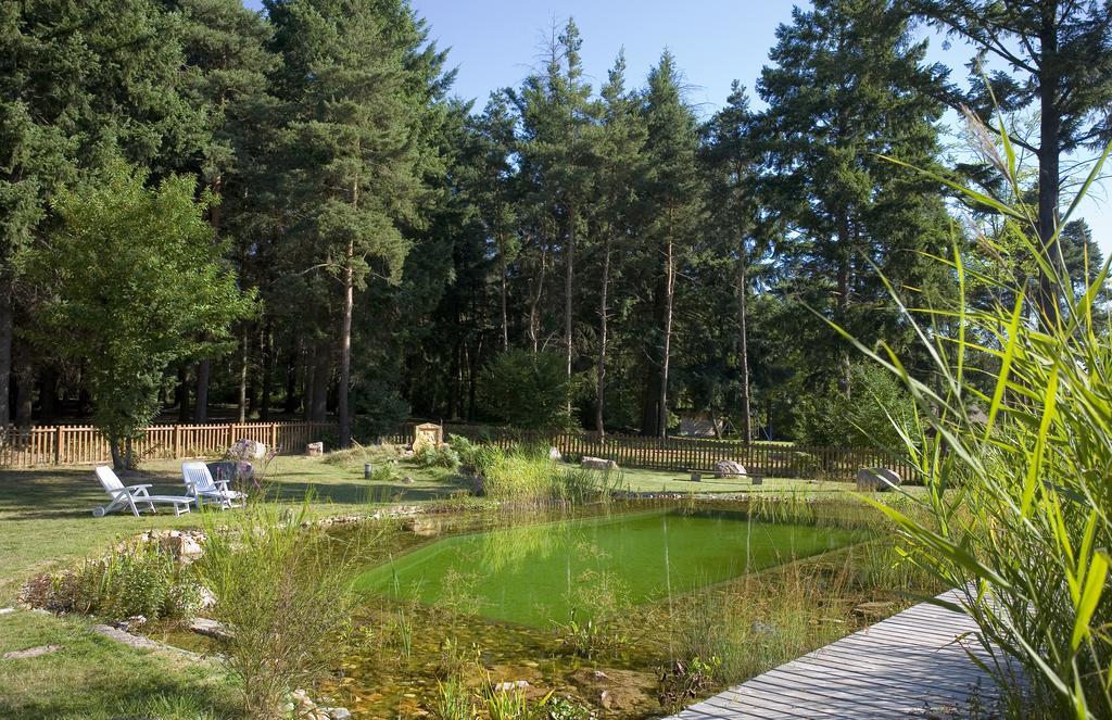 Auberge De La Marguetiere Andelaroche Zewnętrze zdjęcie